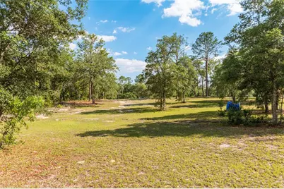 14671 SE 5th Place, Williston, FL 32696 - Photo 17