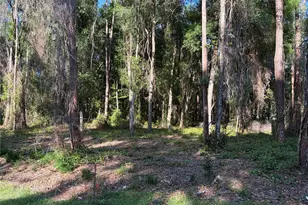 9192 Cr 647cs, Bushnell, FL 33513 - Photo 1