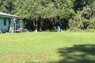 9845 NW 160th St, Reddick, FL 32686 - Photo 5