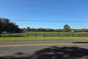 9845 NW 160th St, Reddick, FL 32686 - Photo 15