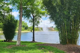 16229 Old Ash Loop, Orlando, FL 32828 - Photo 3