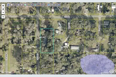 2903 Cr 426E, Lake Panasoffkee, FL 33538 - Photo 39