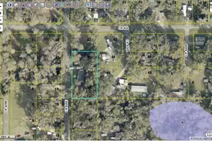 2903 Cr 426E, Lake Panasoffkee, FL 33538 - Photo 39