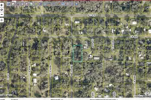 2903 Cr 426E, Lake Panasoffkee, FL 33538 - Photo 37
