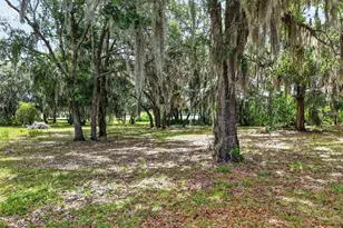 493 Malauka Loop, Ocklawaha, FL 32179 - Photo 53