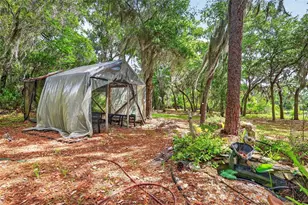 493 Malauka Loop, Ocklawaha, FL 32179 - Photo 51