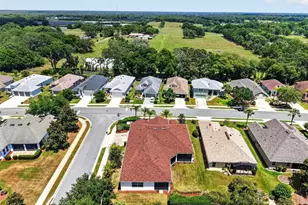 8237 Bridgeport Bay Cir, Mount Dora, FL 32757 - Photo 53