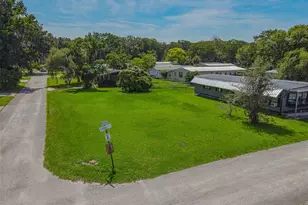 Lot 45 Canal Ct, Lake Panasoffkee, FL 33538 - Photo 1