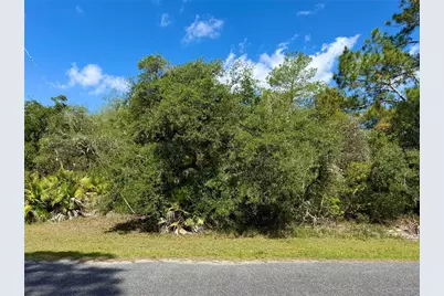 Lot 1 Jericho Trail, Eustis, FL 32736 - Photo 9