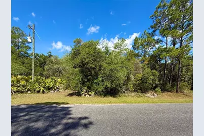 Lot 1 Jericho Trail, Eustis, FL 32736 - Photo 3