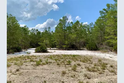 Lot 1 Jericho Trail, Eustis, FL 32736 - Photo 39