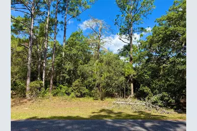 Lot 1 Jericho Trail, Eustis, FL 32736 - Photo 13