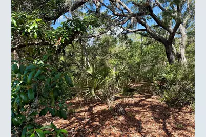 Lot 1 Jericho Trail, Eustis, FL 32736 - Photo 23