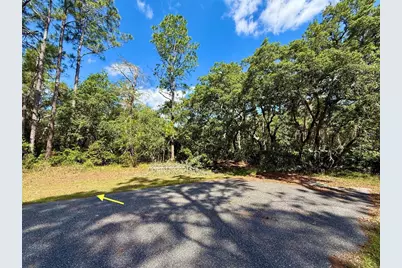 Lot 1 Jericho Trail, Eustis, FL 32736 - Photo 15