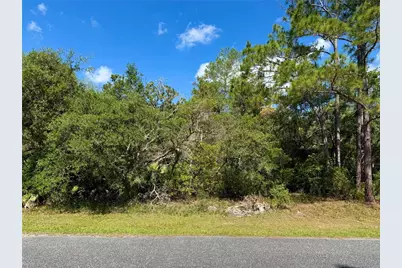 Lot 1 Jericho Trail, Eustis, FL 32736 - Photo 11