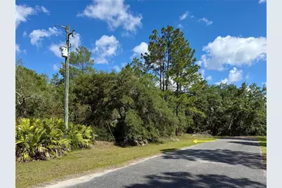 Lot 1 Jericho Trail, Eustis, FL 32736 - Photo 1