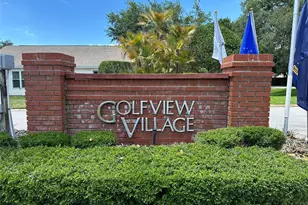 25335 Cranes Roost Cir, Leesburg, FL 34748 - Photo 27