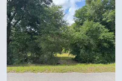 Tbd Keene Road, Altoona, FL 32702 - Photo 1