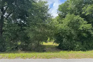 Tbd Keene Rd, Altoona, FL 32702 - Photo 1