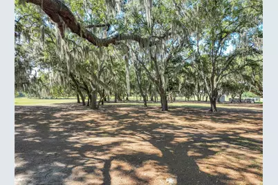 Trotting Horse Lane, Tavares, FL 32778 - Photo 5