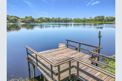 43809 Sunset Dr, Paisley, FL 32767 - Photo 59