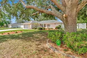 10412 Avila St, Spring Hill, FL 34608 - Photo 39