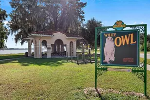 1246 Lido Dr, Howey in the Hills, FL 34737 - Photo 37