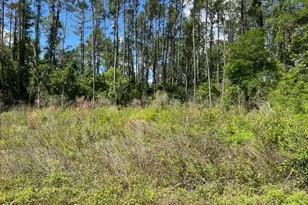 9976 N Athenia Dr, Citrus Springs, FL 34434 - Photo 1
