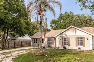 40140 Palm St, Lady Lake, FL 32159 - Photo 3