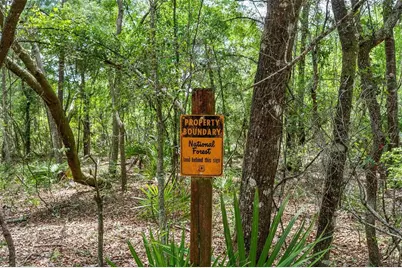 Se 152nd - Lot 17 (Ravenswood Rd) Parcel C Place, Altoona, FL 32702 - Photo 7