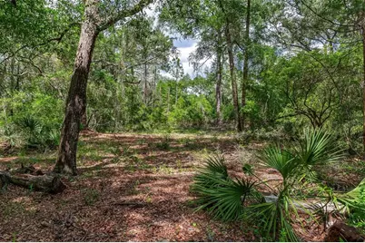 Se 152nd - Lot 17 (Ravenswood Rd) Parcel C Place, Altoona, FL 32702 - Photo 23