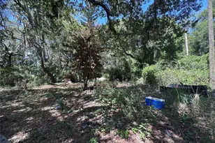9315 E Treasure Island Ave, Leesburg, FL 34788 - Photo 23