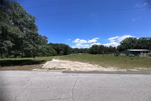 9315 E Treasure Island Ave, Leesburg, FL 34788 - Photo 55