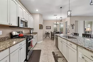 26617 Otter Creek Ln, Leesburg, FL 34748 - Photo 19