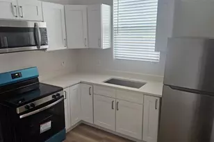 2524 W Chestnut St, Tampa, FL 33607 - Photo 5
