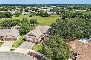 3538 Mulberry Grove Loop, Leesburg, FL 34748 - Photo 47