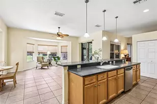 3538 Mulberry Grove Loop, Leesburg, FL 34748 - Photo 19