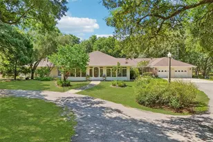 4546 Griffin View Dr, Lady Lake, FL 32159 - Photo 1