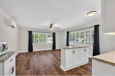 205 E 10th Avenue, Mount Dora, FL 32757 - Photo 11
