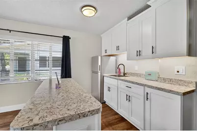 205 E 10th Avenue, Mount Dora, FL 32757 - Photo 17