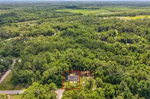 9 Sequoia Loop Ln, Ocklawaha, FL 32179 - Photo 13
