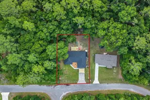 9 Sequoia Loop Ln, Ocklawaha, FL 32179 - Photo 11