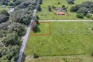 Cr 763, Bushnell, FL 33513 - Photo 1