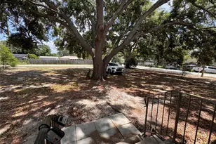 538 Orange St, Mascotte, FL 34753 - Photo 3