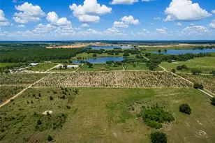 15314 Grand Haven Dr, Clermont, FL 34714 - Photo 47