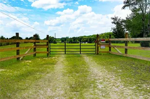 15530 SE 47th Ave, Summerfield, FL 34491 - Photo 3