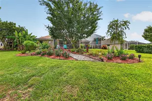 2003 Bayside Ave, Mount Dora, FL 32757 - Photo 43