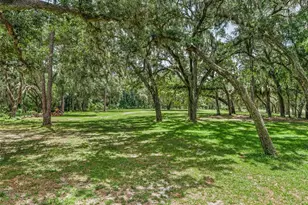 4801 County Rd 575, Bushnell, FL 33513 - Photo 47