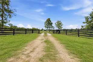 14433 Lake Yale Rd, Umatilla, FL 32784 - Photo 35