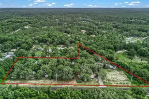 14455 E Hwy 25, Ocklawaha, FL 32179 - Photo 15